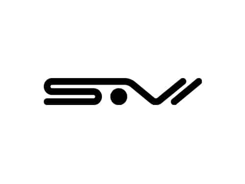 Safety Vision Logo